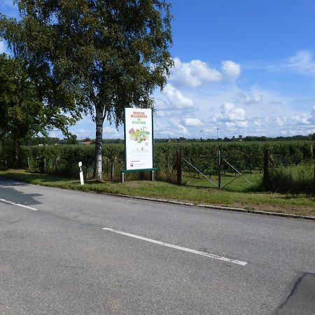 Fewo Im Alten Land Hamburg Dış mekan fotoğraf