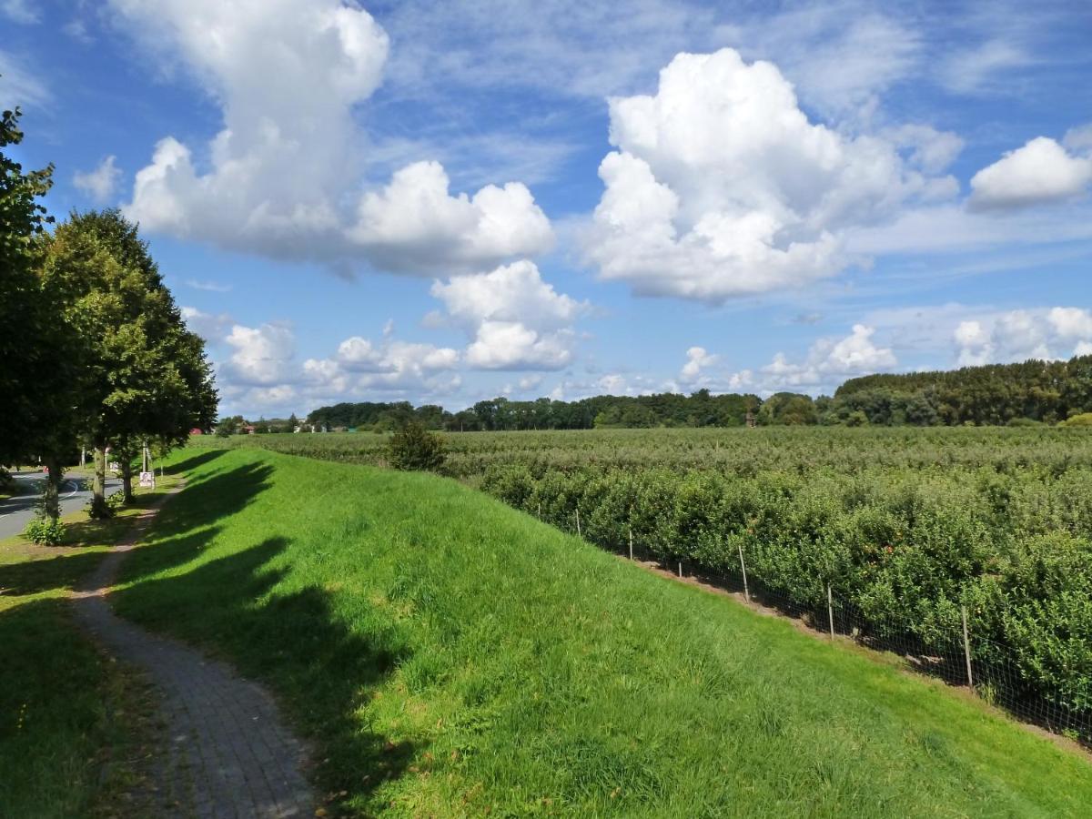 Fewo Im Alten Land Hamburg Dış mekan fotoğraf